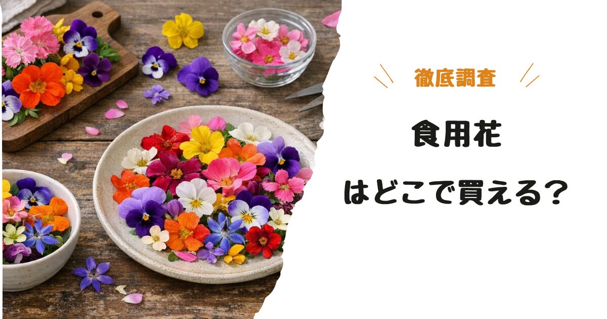 食用花（エディブルフラワー）はどこで買える？業務スーパーやイオン・成城石井などを調査！
