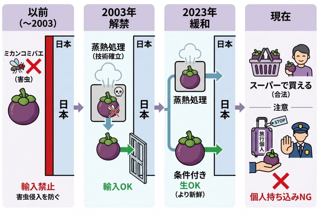 マンゴスチンは以前、日本への輸入が禁止されていました。
理由は、栽培地域に「ミカンコミバエ」という日本にはいない害虫が生息しているためです。
この害虫が日本に入ると果樹に大きな被害を与える恐れがあり、植物検疫法で生のマンゴスチンの輸入が禁じられていました。
2003年に輸入解禁
2003年4月25日に、高温の蒸気で害虫を殺す「蒸熱処理」という技術が確立され、タイ産マンゴスチンの輸入が解禁されました。これにより、日本でも新鮮なマンゴスチンが楽しめるようになりました。
2023年にさらに緩和
2023年8月には、条件付きで蒸熱処理なしの生鮮マンゴスチンの輸入も可能になり、より新鮮なものが届くようになっています。
現在は普通に買える
今では適切な処理を施されたマンゴスチンが合法的に輸入・販売されており、スーパーや通販で普通に購入できます。「禁止」は過去の話です。
ただし、旅行先で買ったマンゴスチンを個人で持ち帰ることは基本的にできないので注意が必要です。